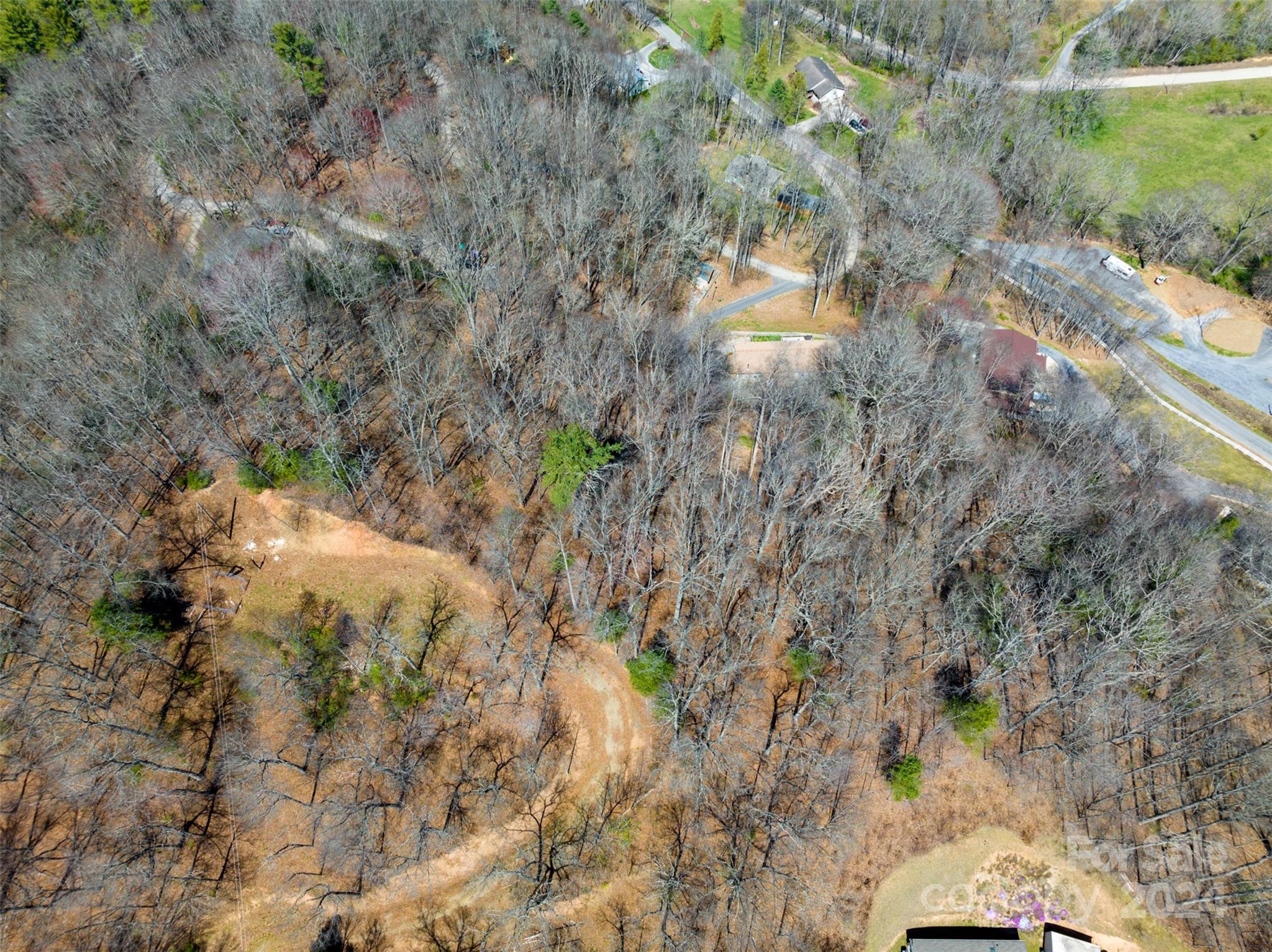 Lot at 0000 MINERVA Drive, Waynesville, photo 6 of 10