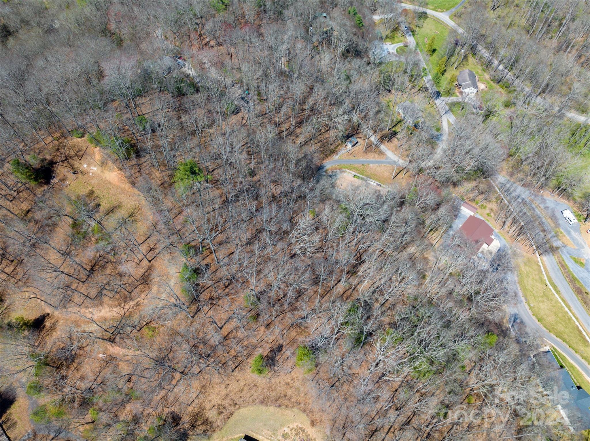 Lot at 0000 MINERVA Drive, Waynesville, photo 7 of 10