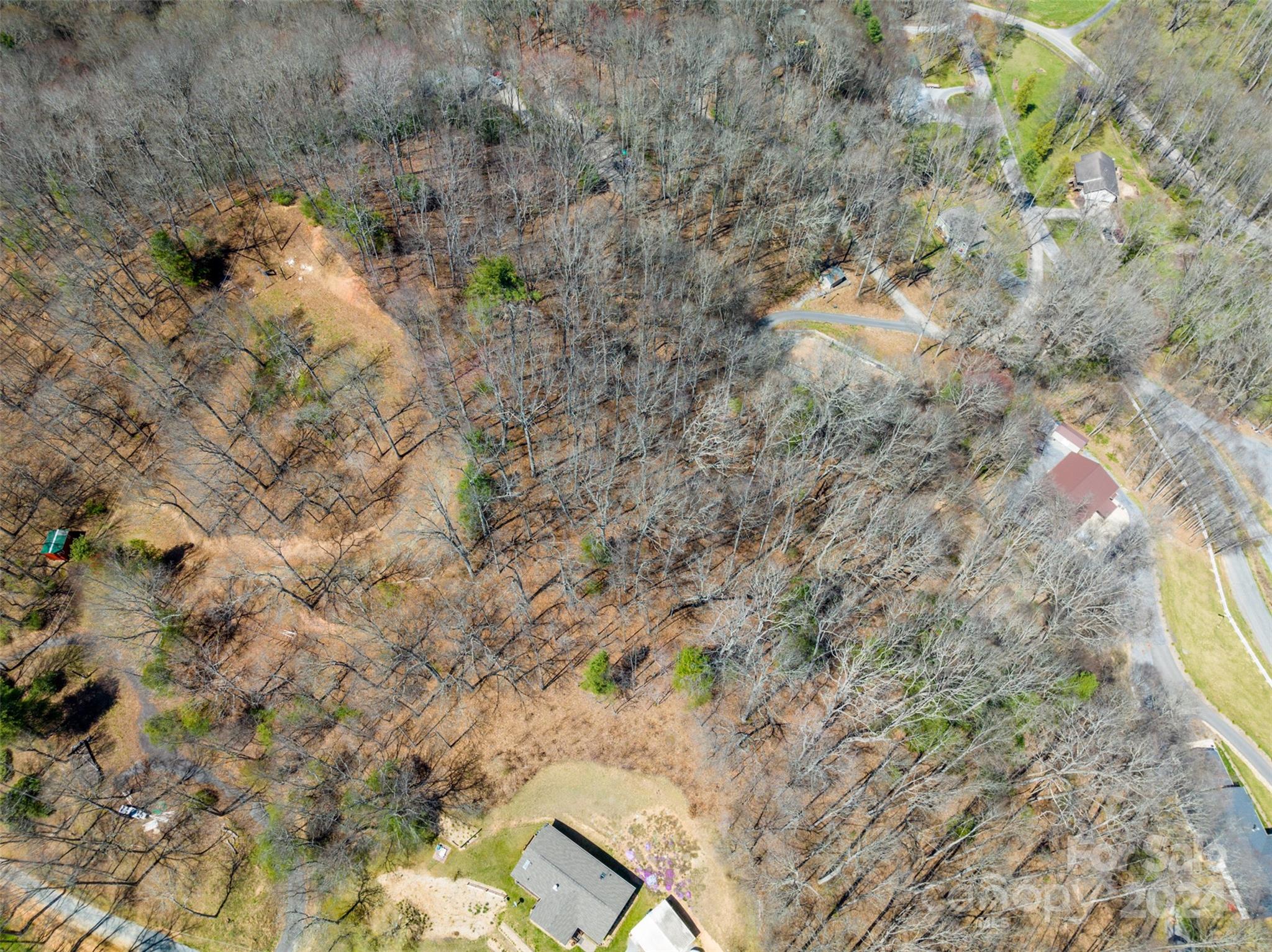 Lot at 0000 MINERVA Drive, Waynesville, photo 8 of 10