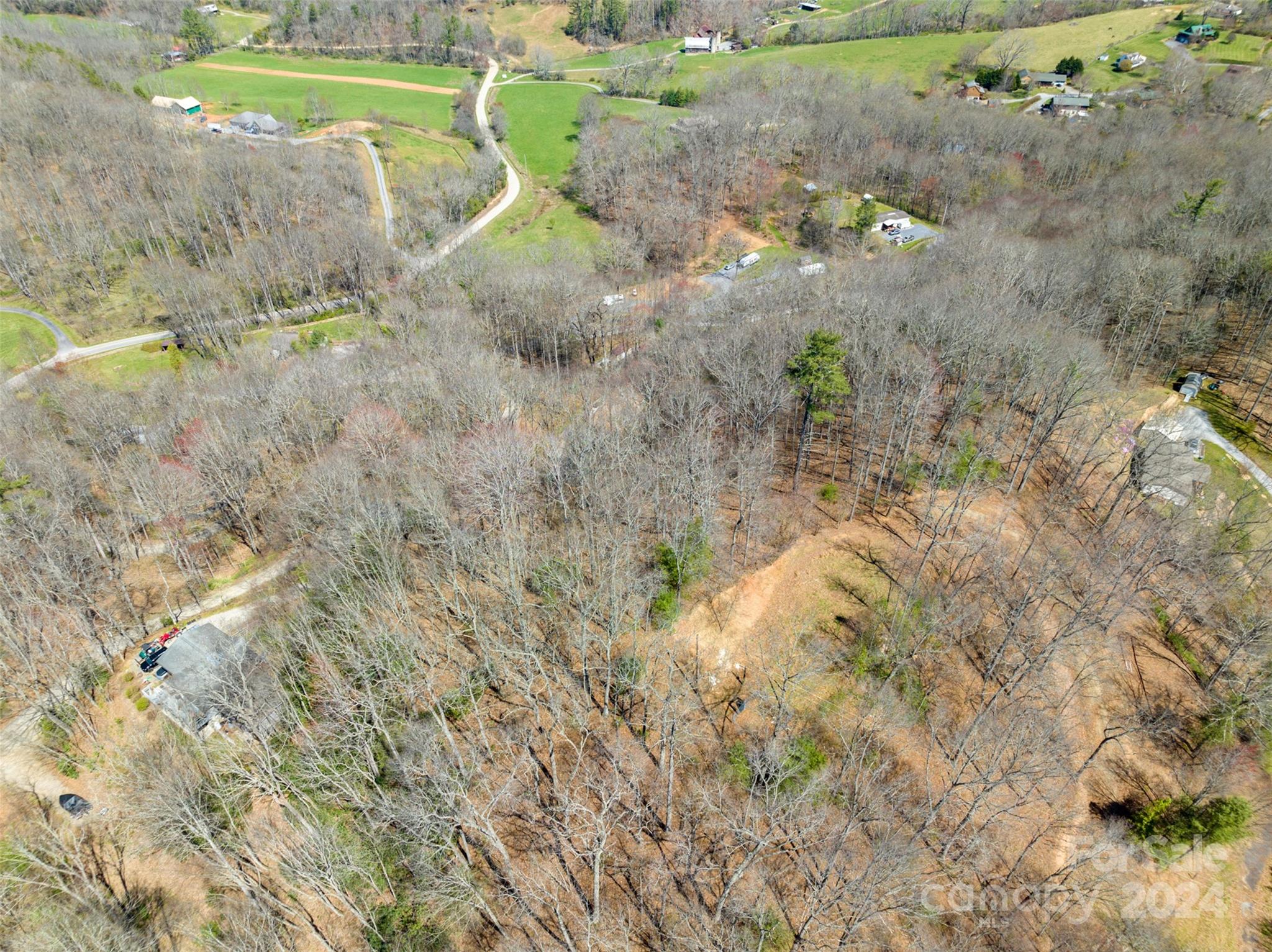 Lot at 0000 MINERVA Drive, Waynesville, photo 9 of 10