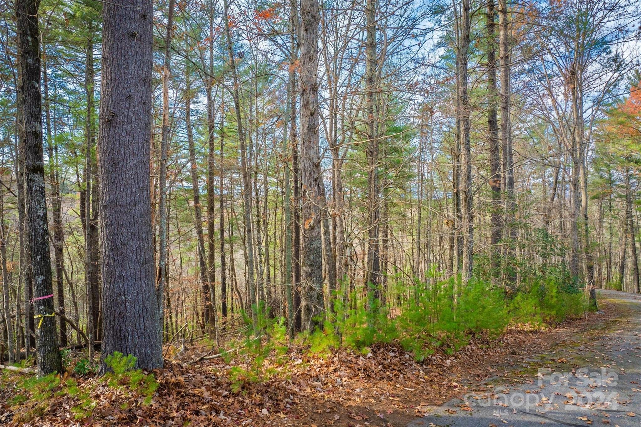 Lot at 133 James Bob Stafford Drive, Nebo, photo 3 of 12