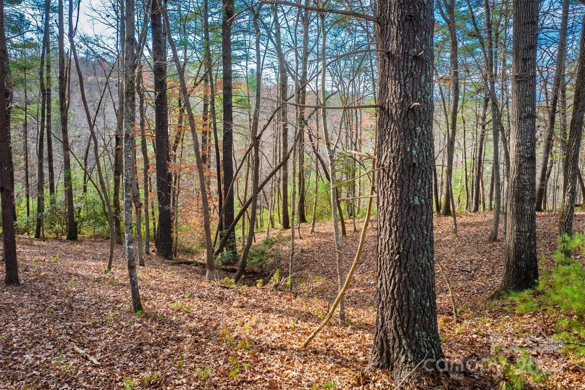 Lot at 133 James Bob Stafford Drive, Nebo, photo 4 of 12