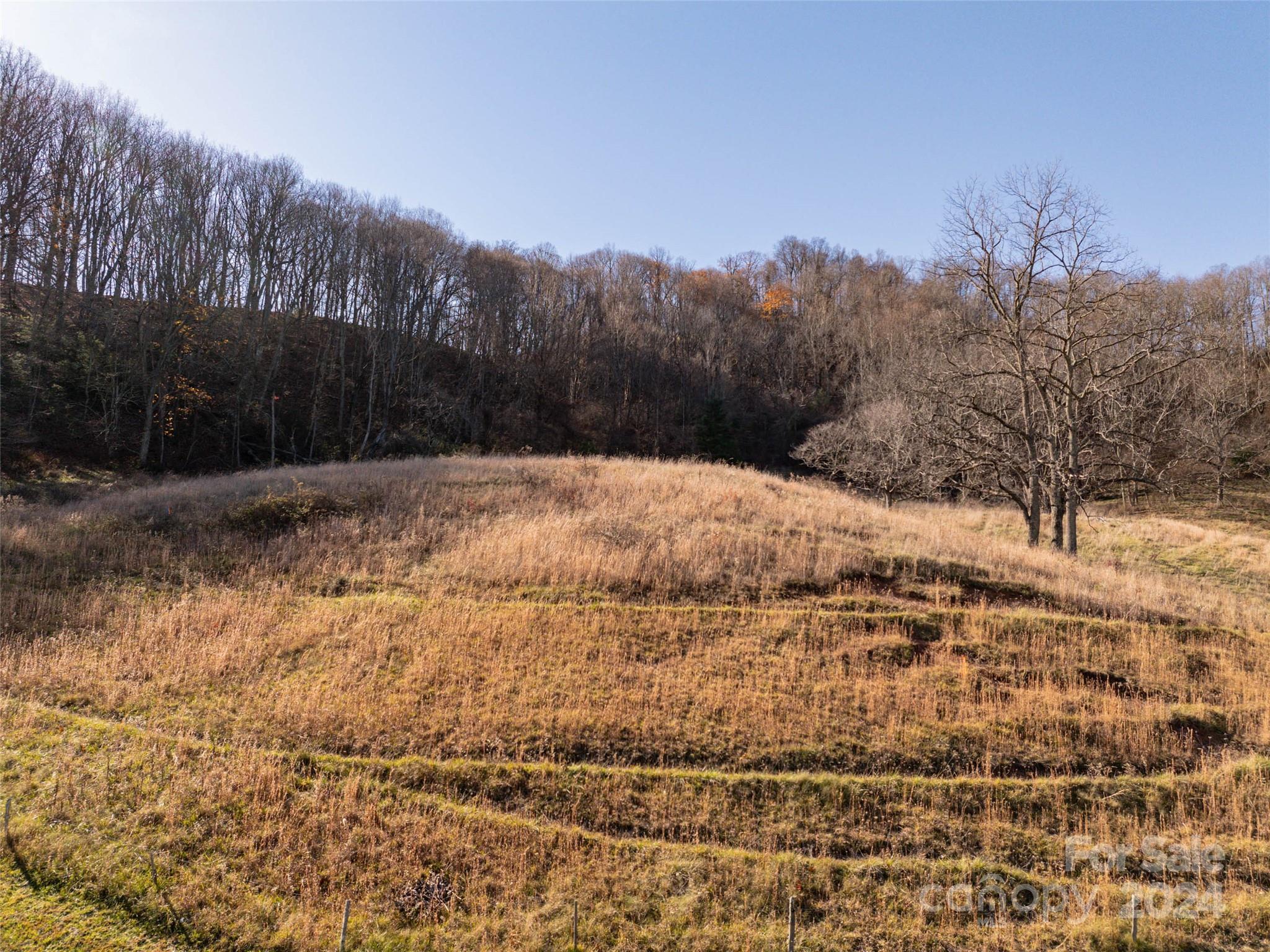 Acreage at TBD Belmont Drive, Clyde, photo 3 of 20