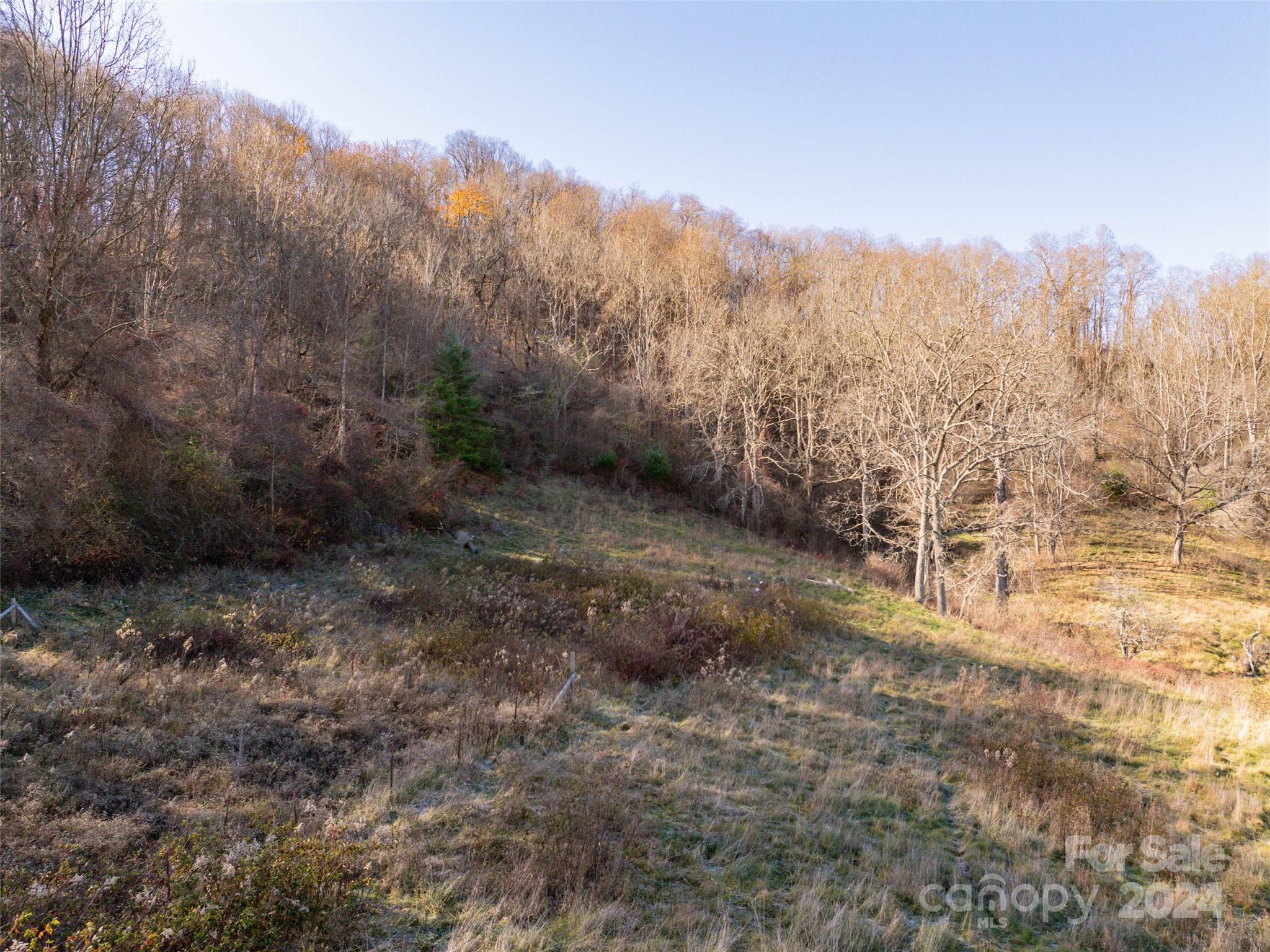 Acreage at TBD Belmont Drive, Clyde, photo 4 of 20
