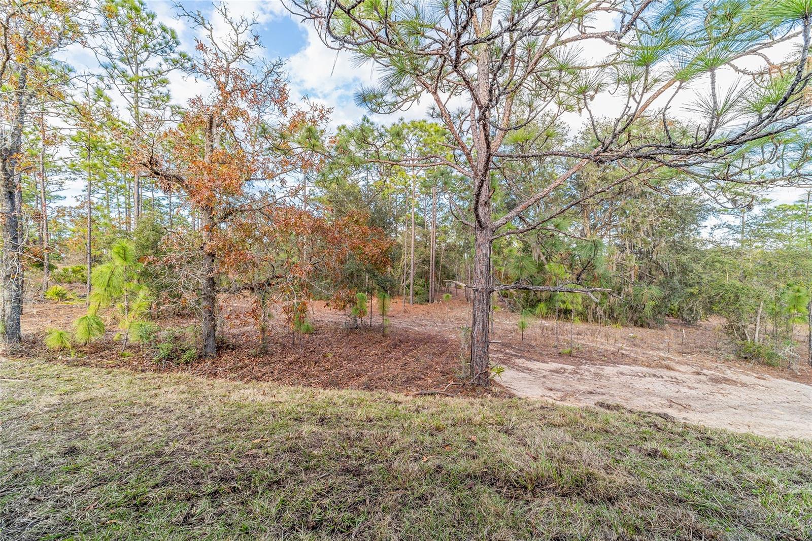 Single Family Residence at 11457 N CONDOR DR, DUNNELLON, photo 19 of 19