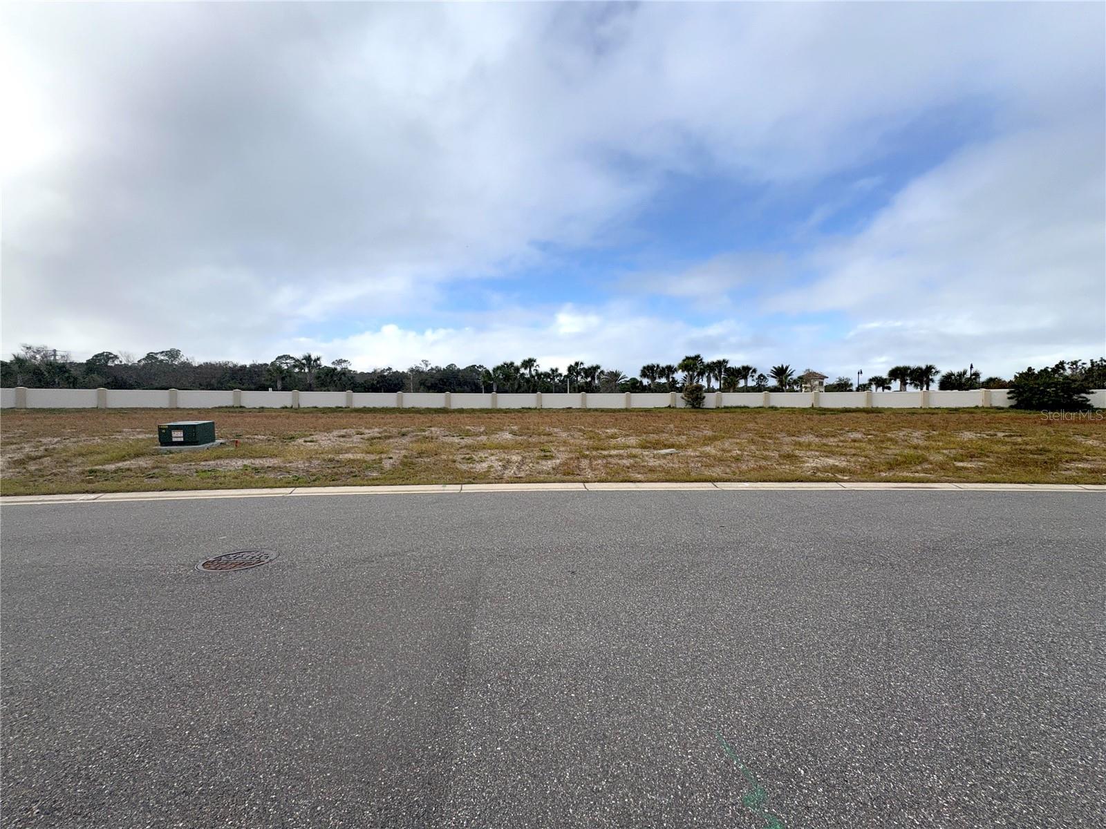 Land at 48 DEL PALMA DR, PALM COAST, photo 2 of 23