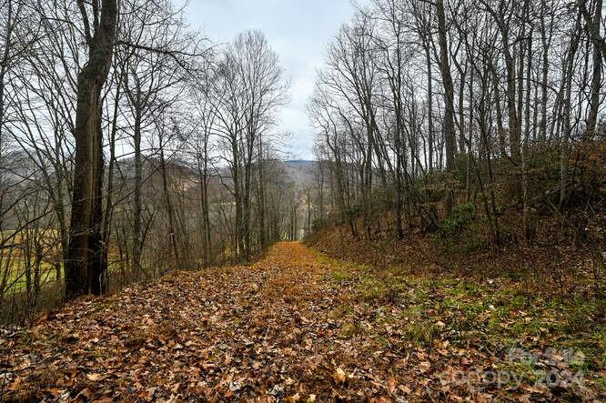Acreage at 19 Flowing Hills Drive, Clyde, photo 4 of 18