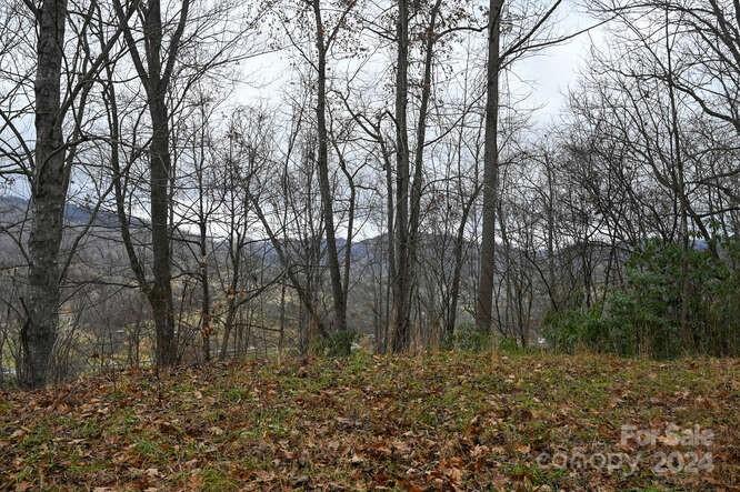 Acreage at 19 Flowing Hills Drive, Clyde, photo 12 of 18