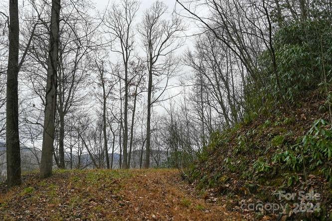 Acreage at 19 Flowing Hills Drive, Clyde, photo 13 of 18
