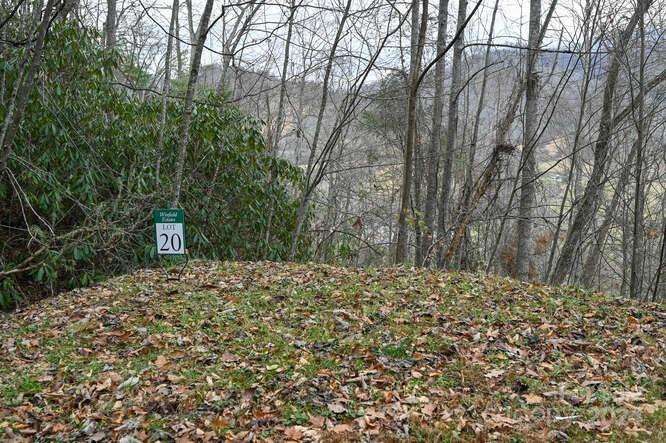 Acreage at 19 Flowing Hills Drive, Clyde, photo 14 of 18