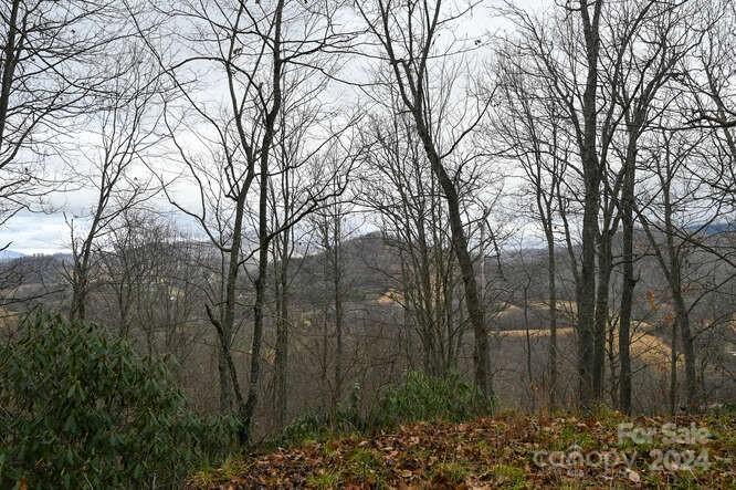 Acreage at 19 Flowing Hills Drive, Clyde, photo 2 of 18