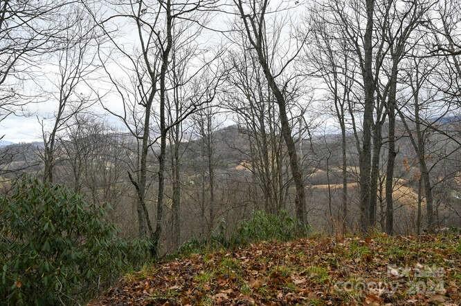 Acreage at 19 Flowing Hills Drive, Clyde, photo 3 of 18