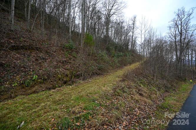 Acreage at 19 Flowing Hills Drive, Clyde, photo 5 of 18