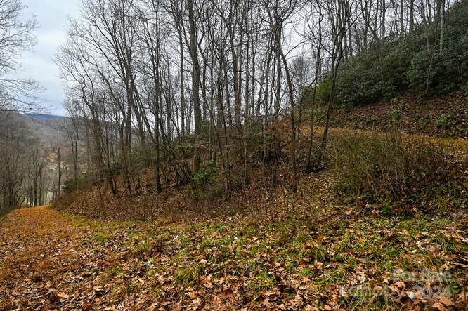 Acreage at 19 Flowing Hills Drive, Clyde, photo 8 of 18