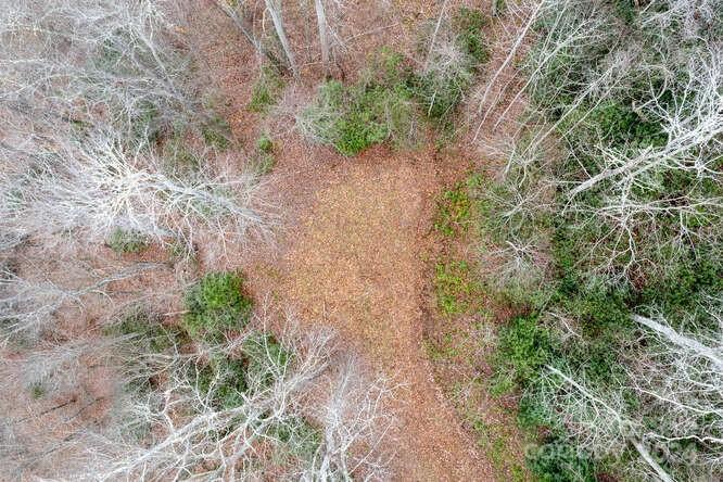 Acreage at 19 Flowing Hills Drive, Clyde, photo 9 of 18