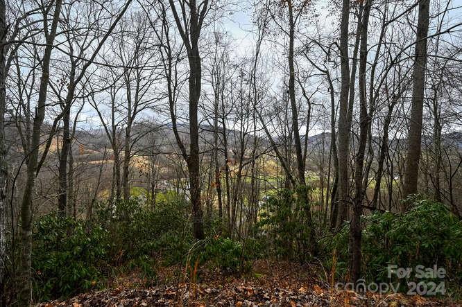 Acreage at 19 Flowing Hills Drive, Clyde, photo 11 of 18