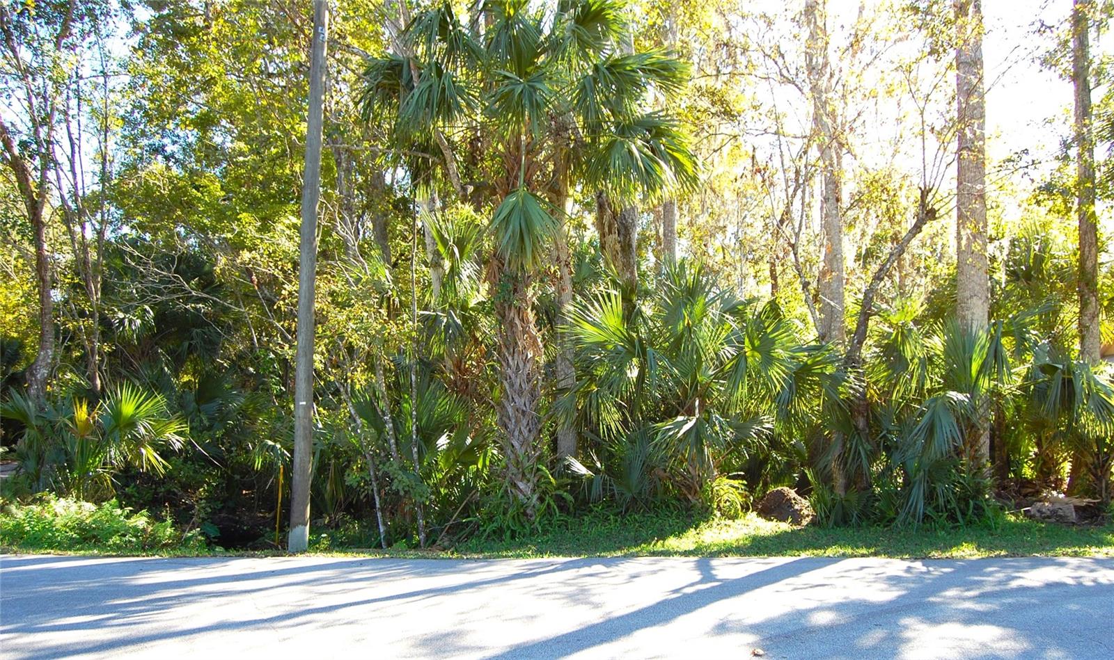 0 PALM DR