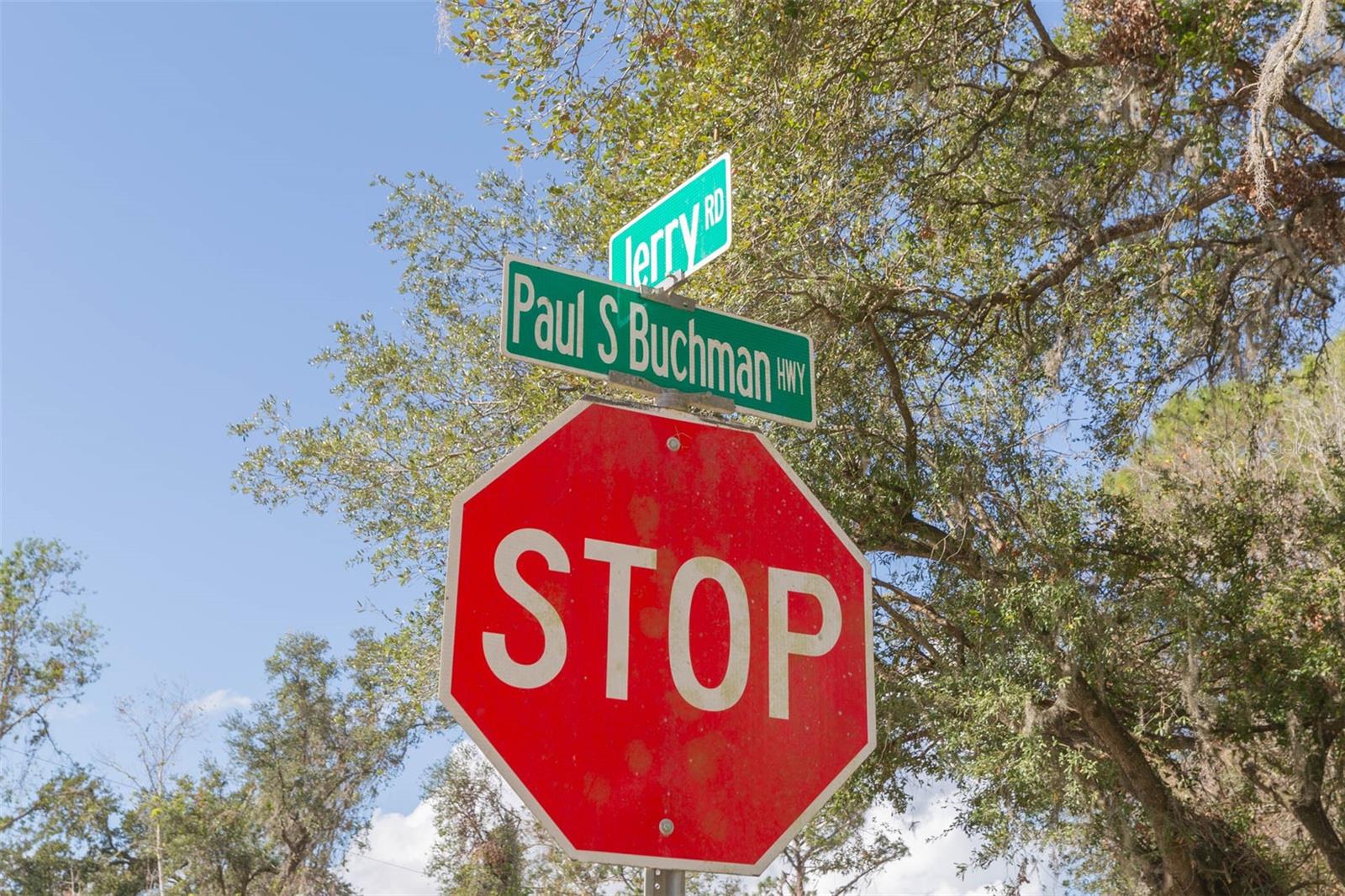 Land at 2050 PAUL S BUCHMAN HWY, ZEPHYRHILLS, photo 4 of 17