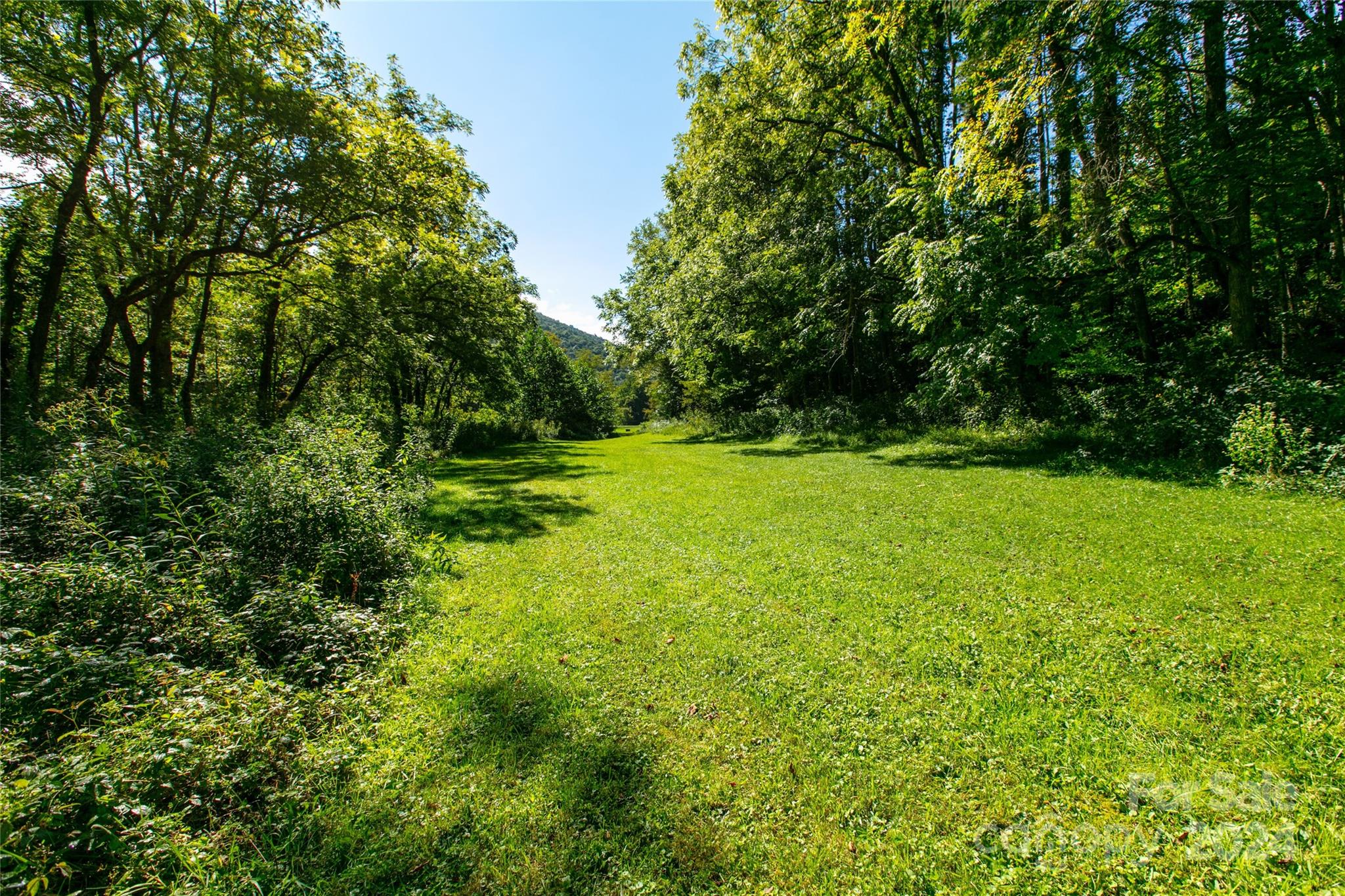 Lot at 00000 Scout Trail, Canton, photo 3 of 8