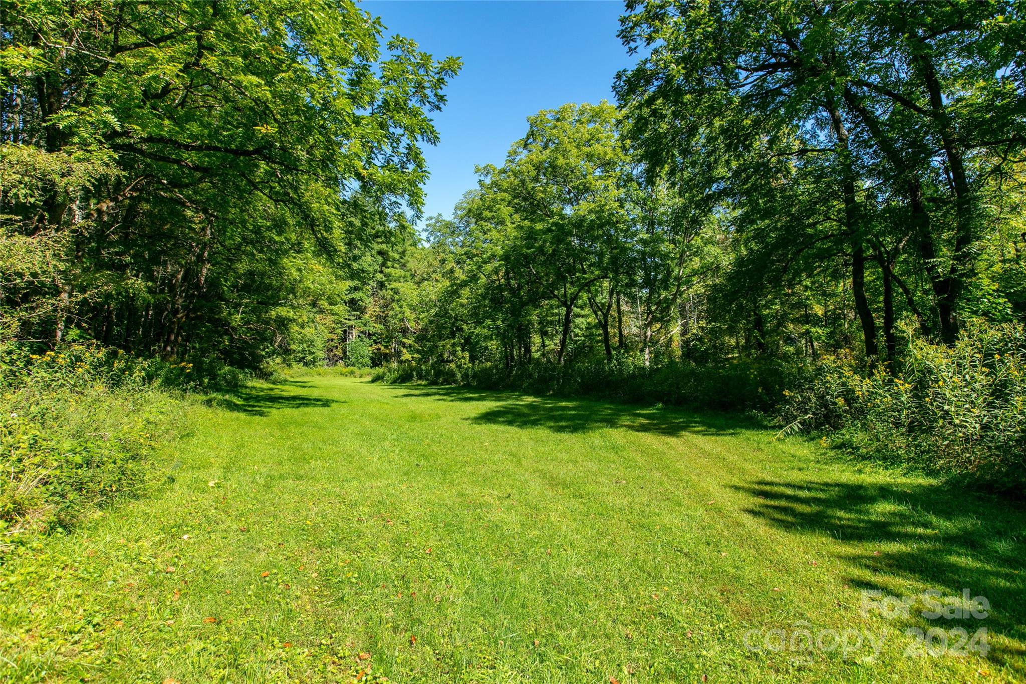 Lot at 00000 Scout Trail, Canton, photo 4 of 8