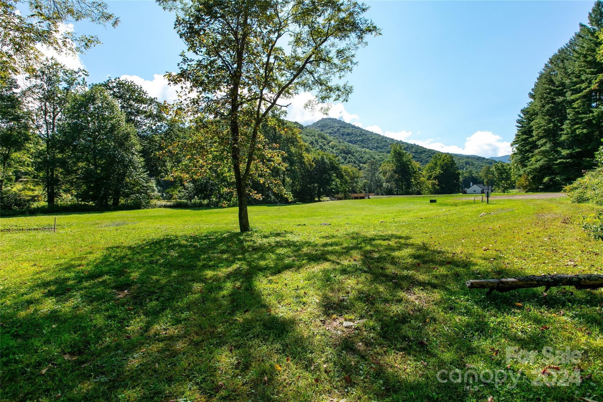 Lot at 00000 Scout Trail, Canton, photo 6 of 8