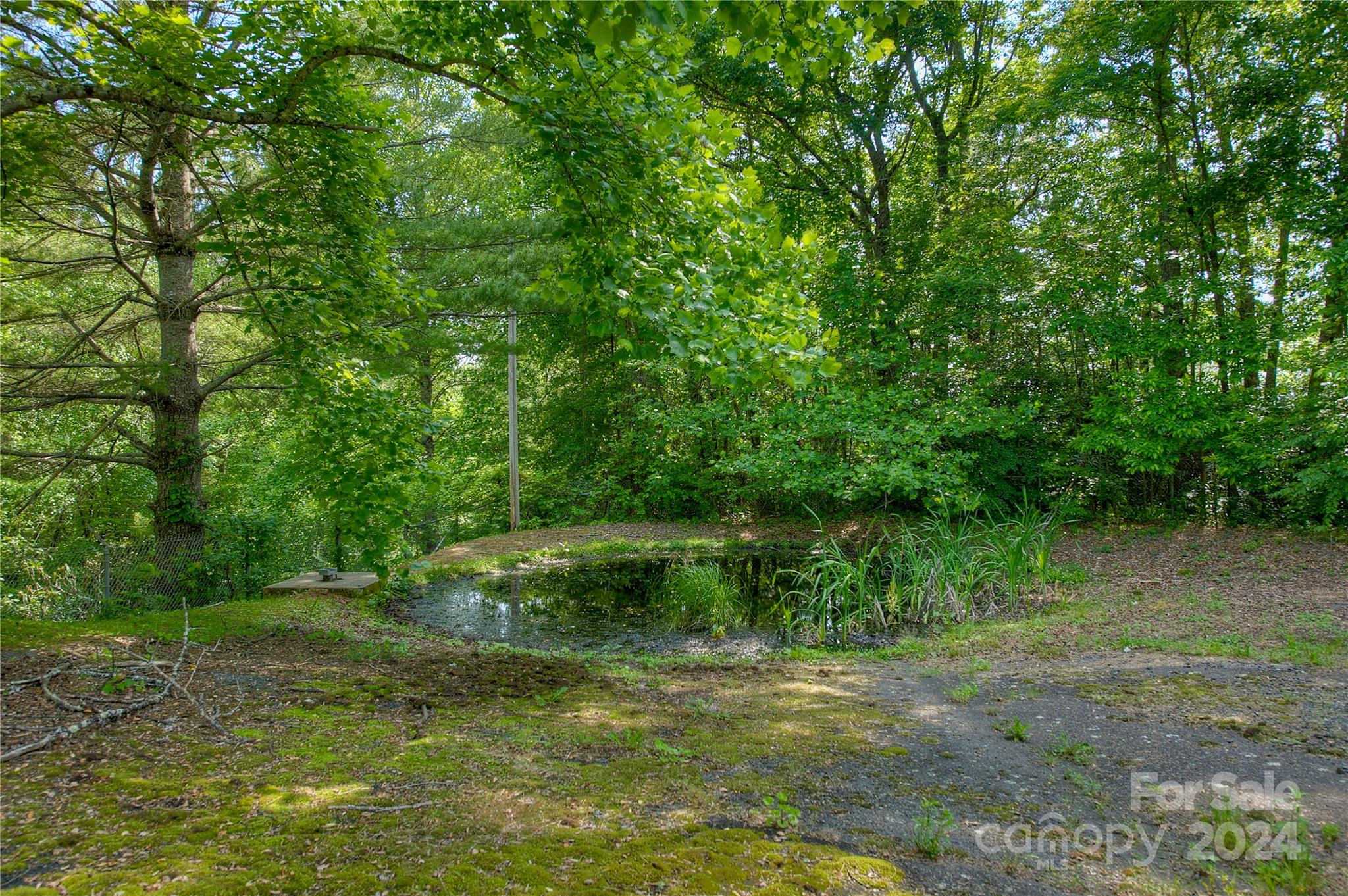 Sedimentation Pond w/Oil Separator - 350 Henredon Road, Spruce Pine