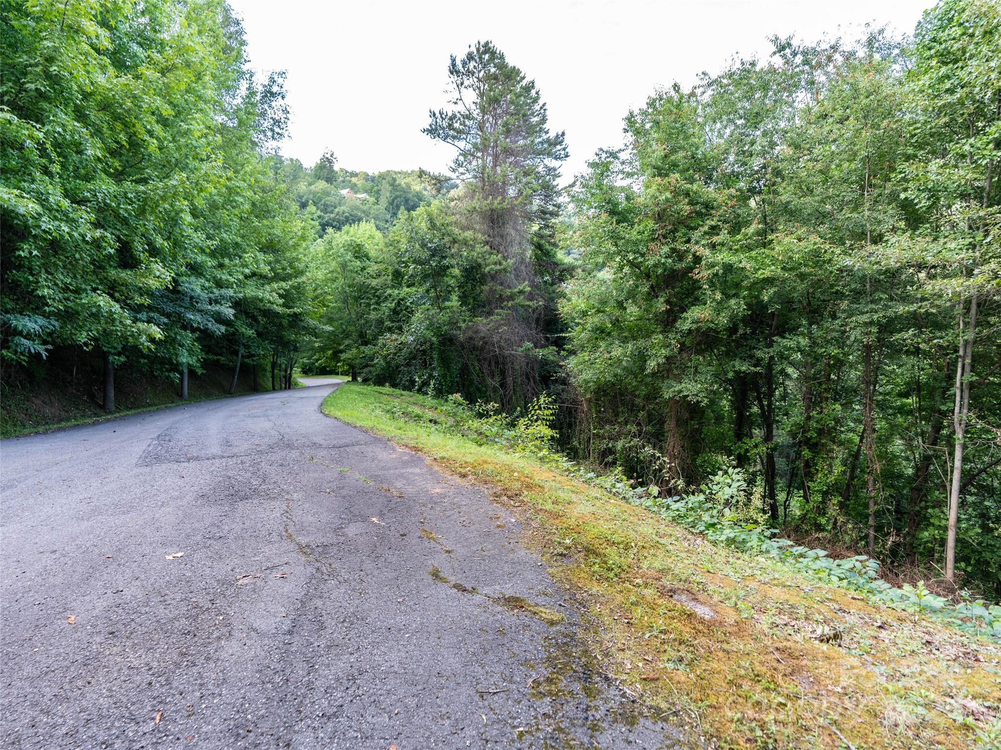 Lot at TBD Rimesdale Way, Waynesville, photo 5 of 24
