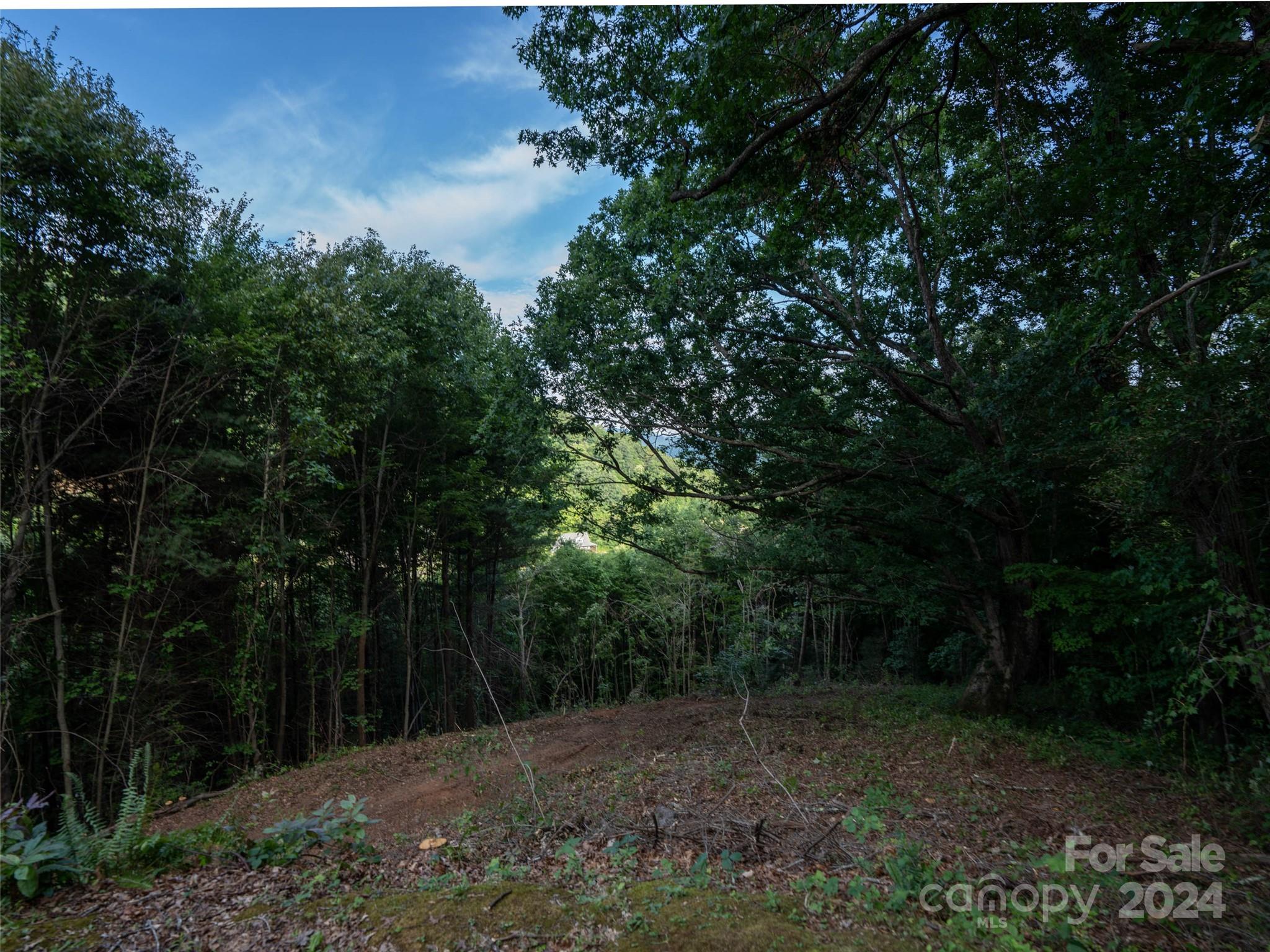 Lot at TBD Rimesdale Way, Waynesville, photo 8 of 24