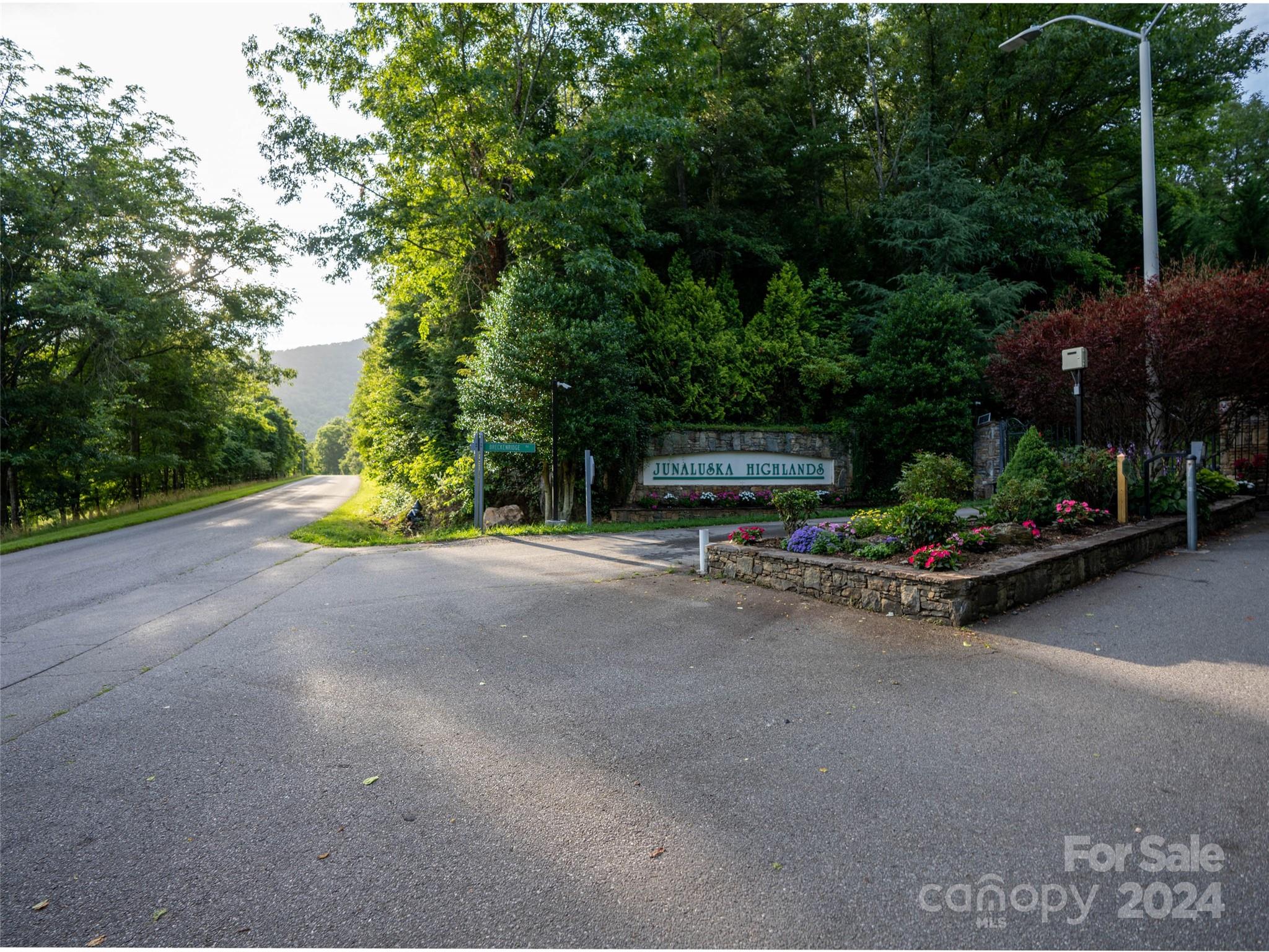 Lot at TBD Rimesdale Way, Waynesville, photo 9 of 24