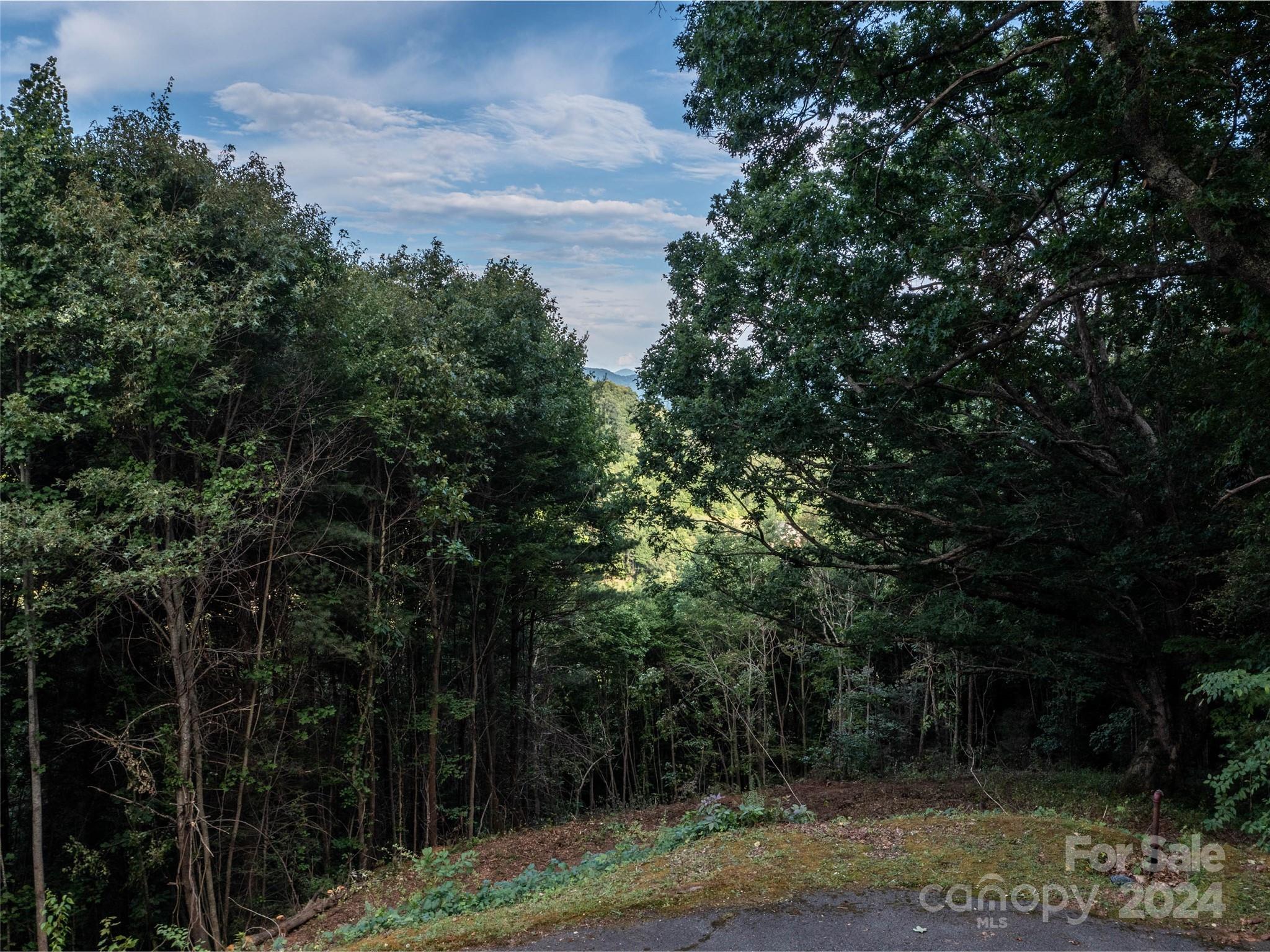 Lot at TBD Rimesdale Way, Waynesville, photo 24 of 24