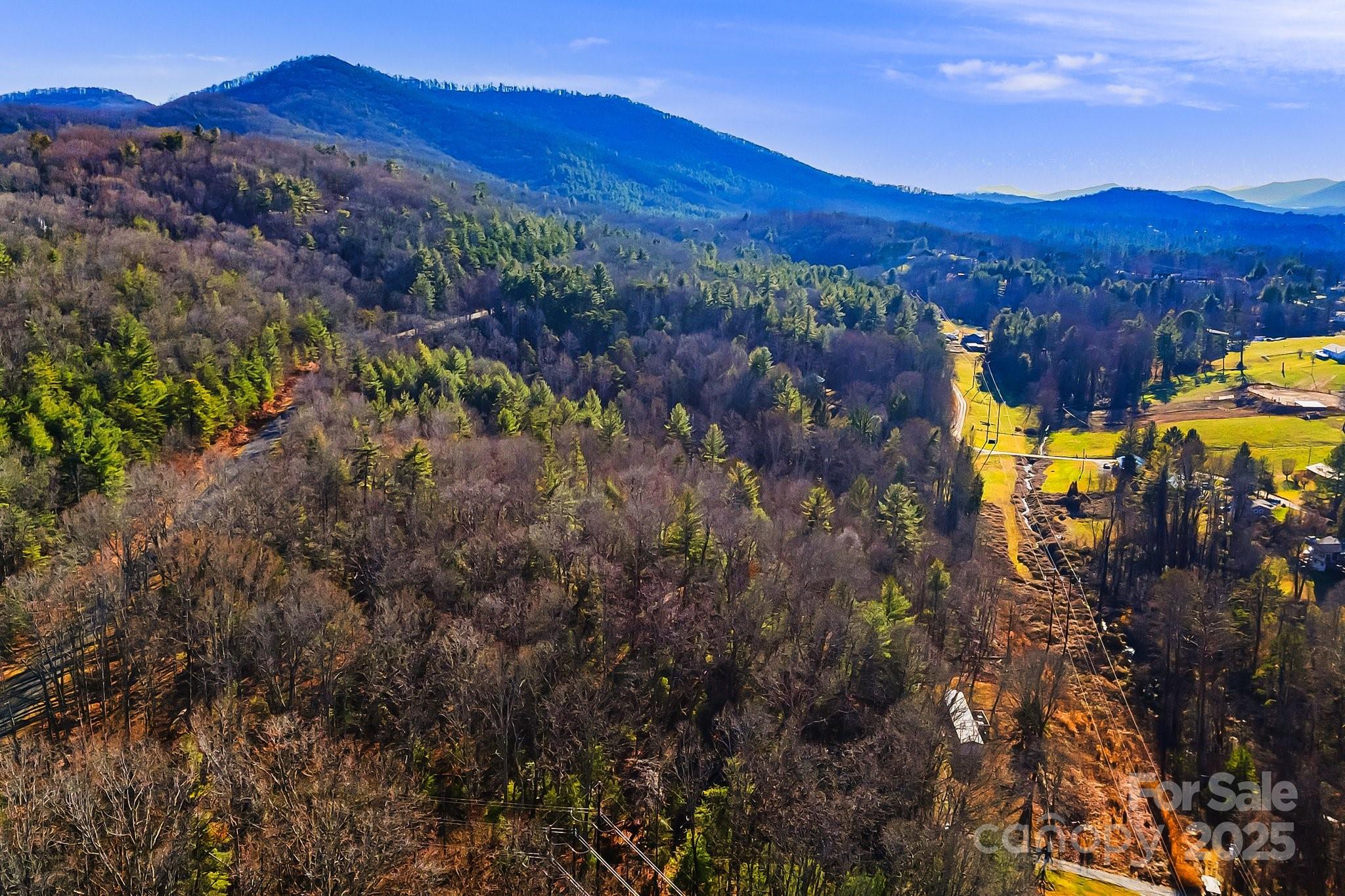 Acreage at 99999 Willow Creek Drive, Asheville, photo 9 of 11