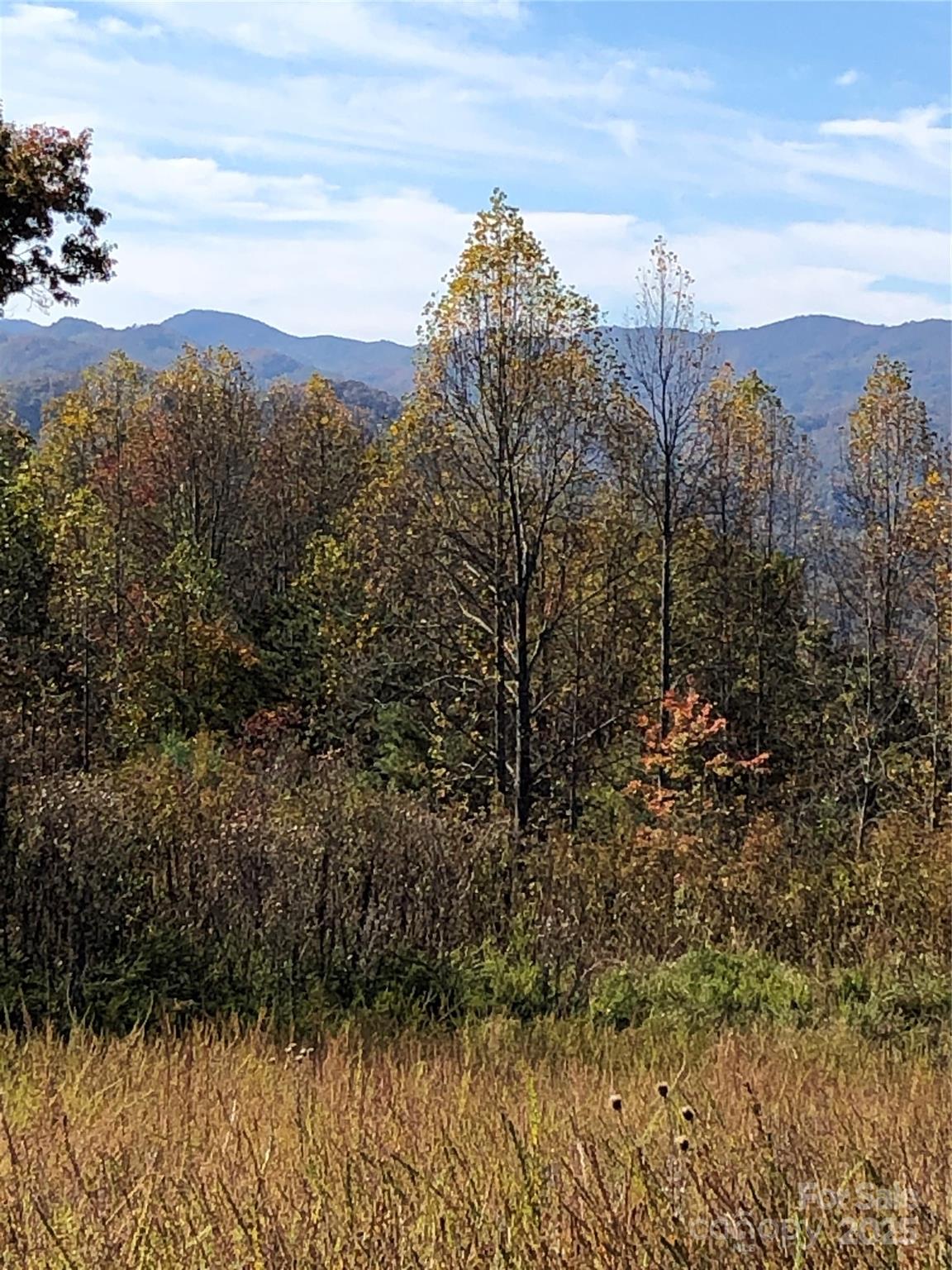 Lot at 255 Clearview Lane, Marshall, photo 2 of 22