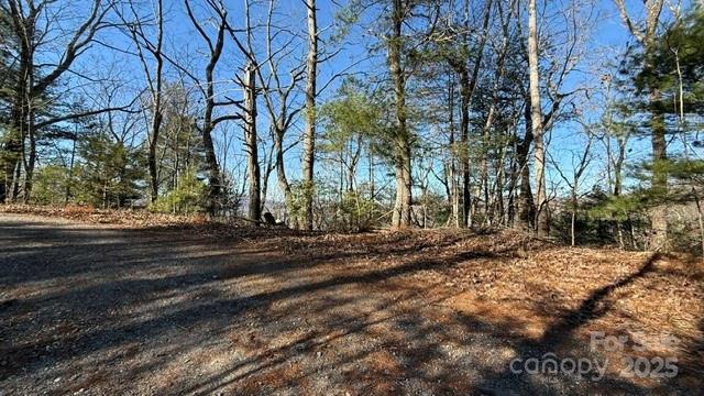 Potential entryway to driveway/parking. - 0 Bird Dog Boulevard, Lake Lure