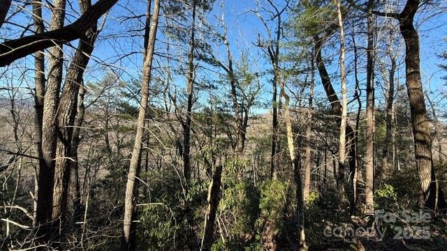 Lot at 0 Bird Dog Boulevard, Lake Lure, photo 3 of 23