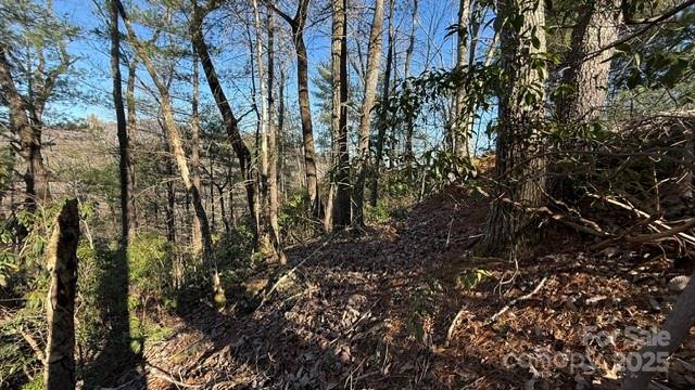 Slope on the right side of the property from the road. - 0 Bird Dog Boulevard, Lake Lure