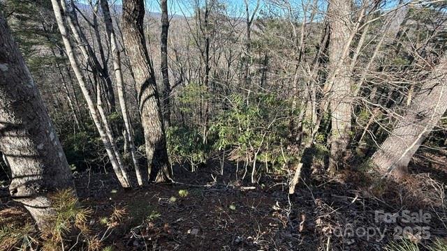 Steep Slope on the left side of the lot. - 0 Bird Dog Boulevard, Lake Lure