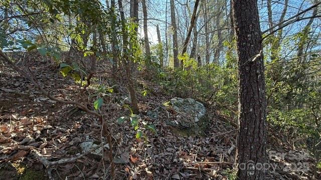 Lot at 0 Bird Dog Boulevard, Lake Lure, photo 7 of 23