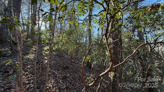 Lot at 0 Bird Dog Boulevard, Lake Lure, photo 8 of 23