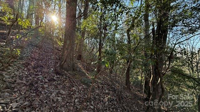 Lot at 0 Bird Dog Boulevard, Lake Lure, photo 9 of 23