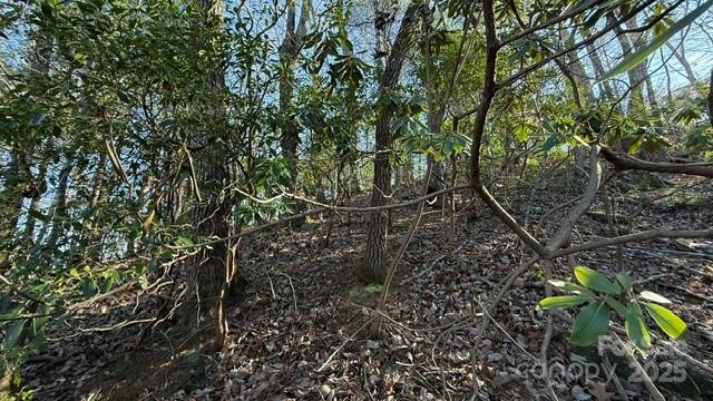 Lot at 0 Bird Dog Boulevard, Lake Lure, photo 11 of 23