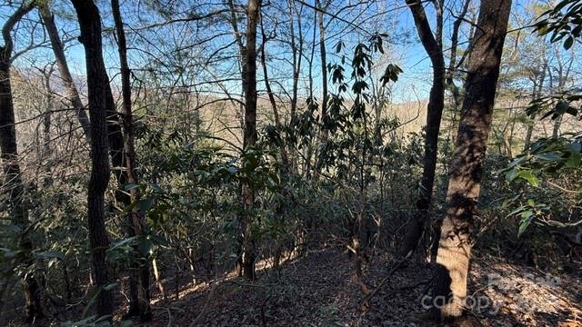 Lot at 0 Bird Dog Boulevard, Lake Lure, photo 12 of 23