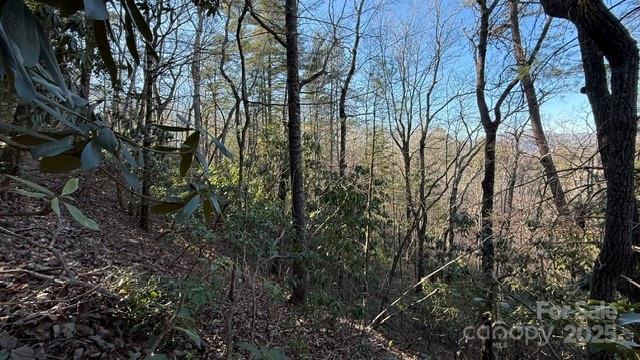 Lot at 0 Bird Dog Boulevard, Lake Lure, photo 13 of 23