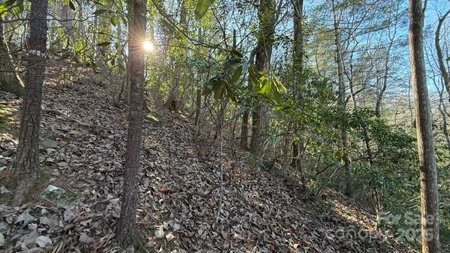Lot at 0 Bird Dog Boulevard, Lake Lure, photo 14 of 23