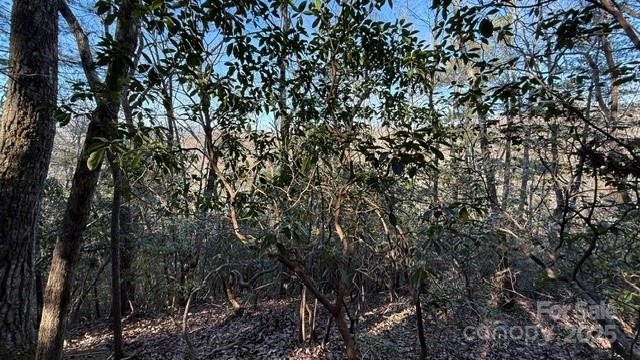 Lot at 0 Bird Dog Boulevard, Lake Lure, photo 15 of 23