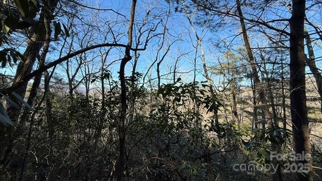 Lot at 0 Bird Dog Boulevard, Lake Lure, photo 16 of 23