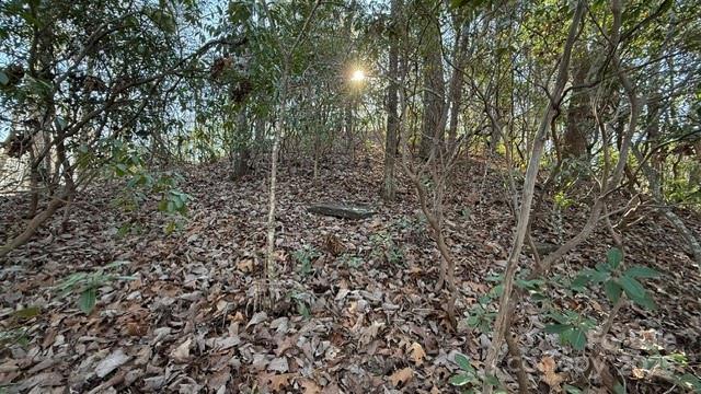 Lot at 0 Bird Dog Boulevard, Lake Lure, photo 17 of 23