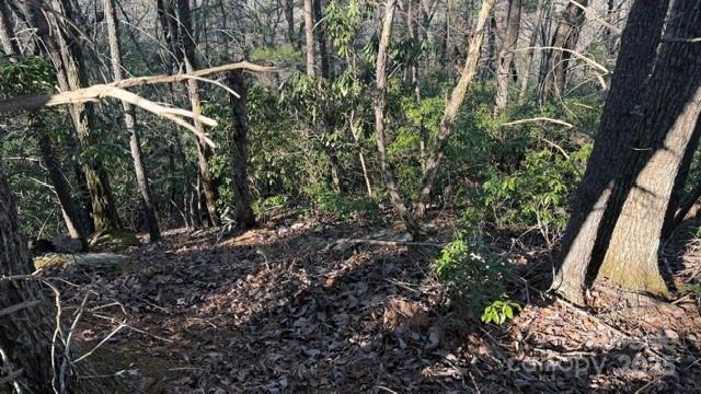 Lot at 0 Bird Dog Boulevard, Lake Lure, photo 18 of 23