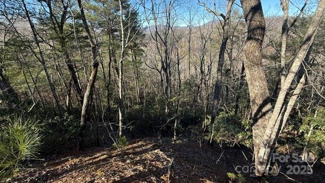 Slope on the left side of the lot. - 0 Bird Dog Boulevard, Lake Lure
