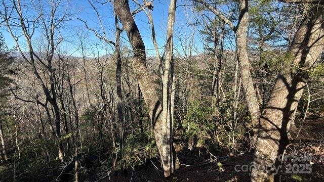 Lot at 0 Bird Dog Boulevard, Lake Lure, photo 20 of 23