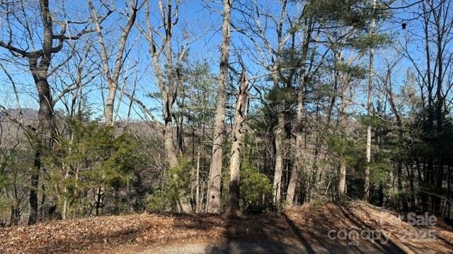 Lot at 0 Bird Dog Boulevard, Lake Lure, photo 21 of 23